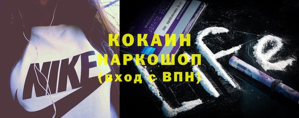 амф Ладушкин