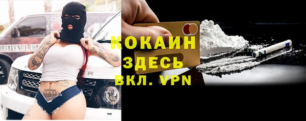 ГАЛЛЮЦИНОГЕННЫЕ ГРИБЫ Лагань
