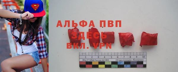 ГАЛЛЮЦИНОГЕННЫЕ ГРИБЫ Лагань