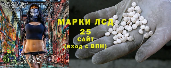 ГАЛЛЮЦИНОГЕННЫЕ ГРИБЫ Лагань