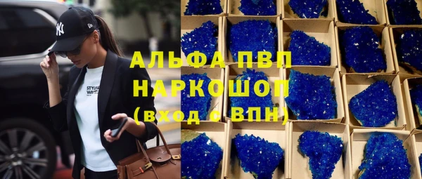 хмурый Нефтекумск