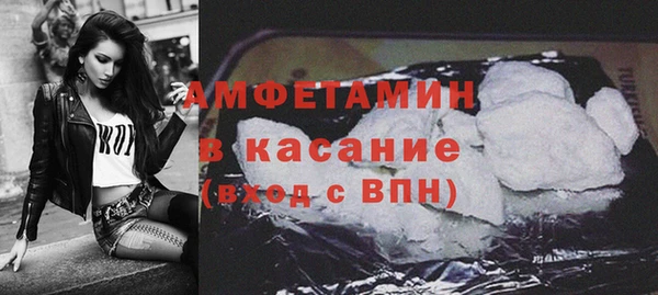 ГАЛЛЮЦИНОГЕННЫЕ ГРИБЫ Лагань