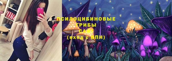 амф Ладушкин
