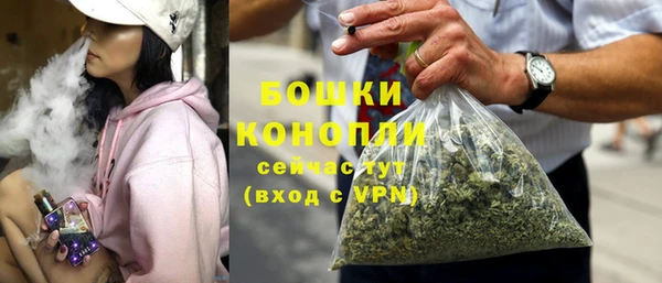 амф Ладушкин