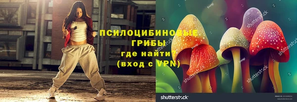 ГАЛЛЮЦИНОГЕННЫЕ ГРИБЫ Лагань